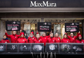 Teil-Erfolg nach Protest: Max Mara nimmt Pelzartikel aus dem Online-Handel